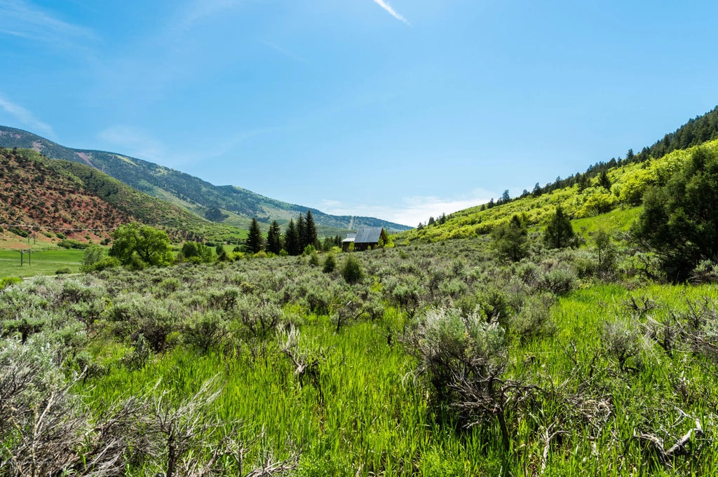 10 of 17 - 54 Spruce Road, Basalt, CO