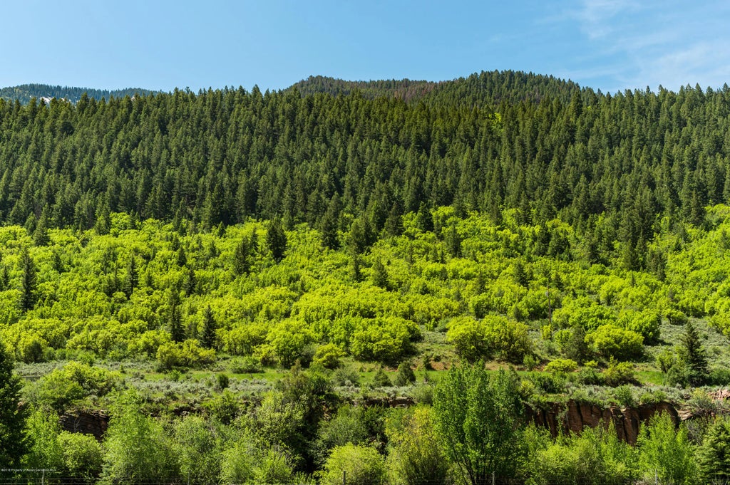 14 of 17 - 54 Spruce Road, Basalt, CO