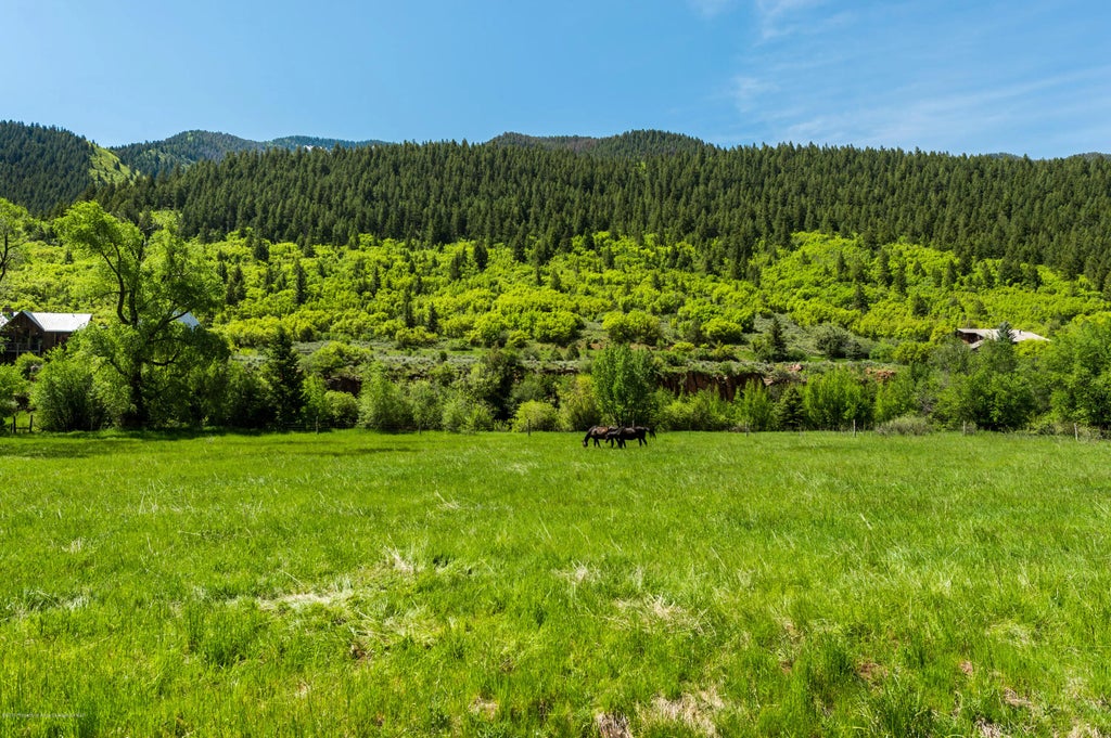 15 of 17 - 54 Spruce Road, Basalt, CO