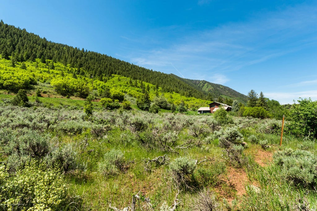 8 of 17 - 54 Spruce Road, Basalt, CO