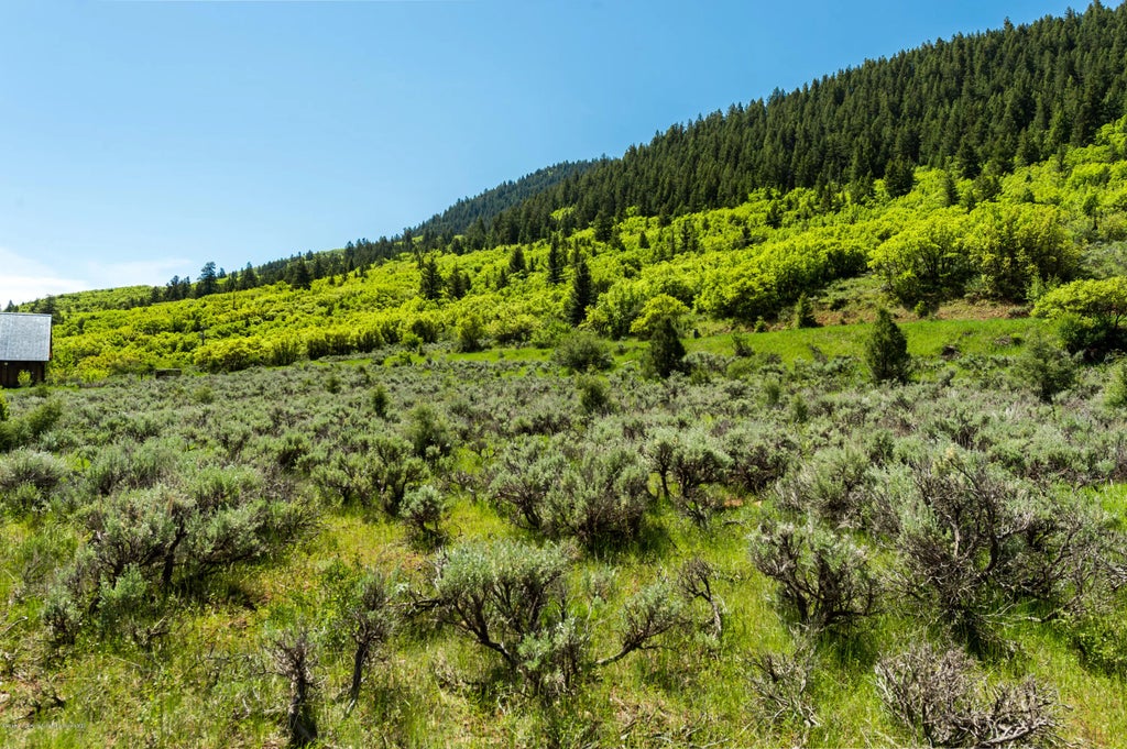9 of 17 - 54 Spruce Road, Basalt, CO