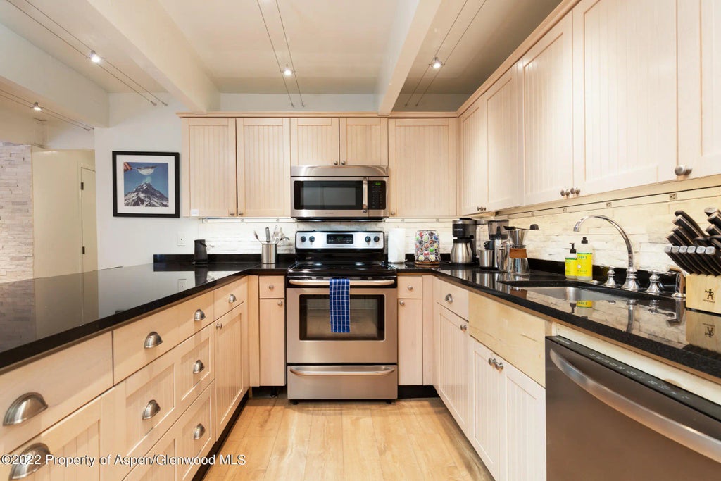 13 of 14 - 731 E Durant Avenue 6, Aspen, CO
