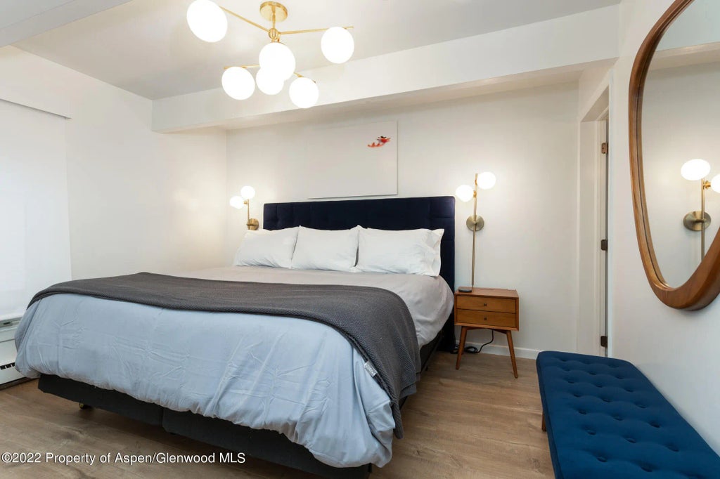 6 of 14 - 731 E Durant Avenue 6, Aspen, CO