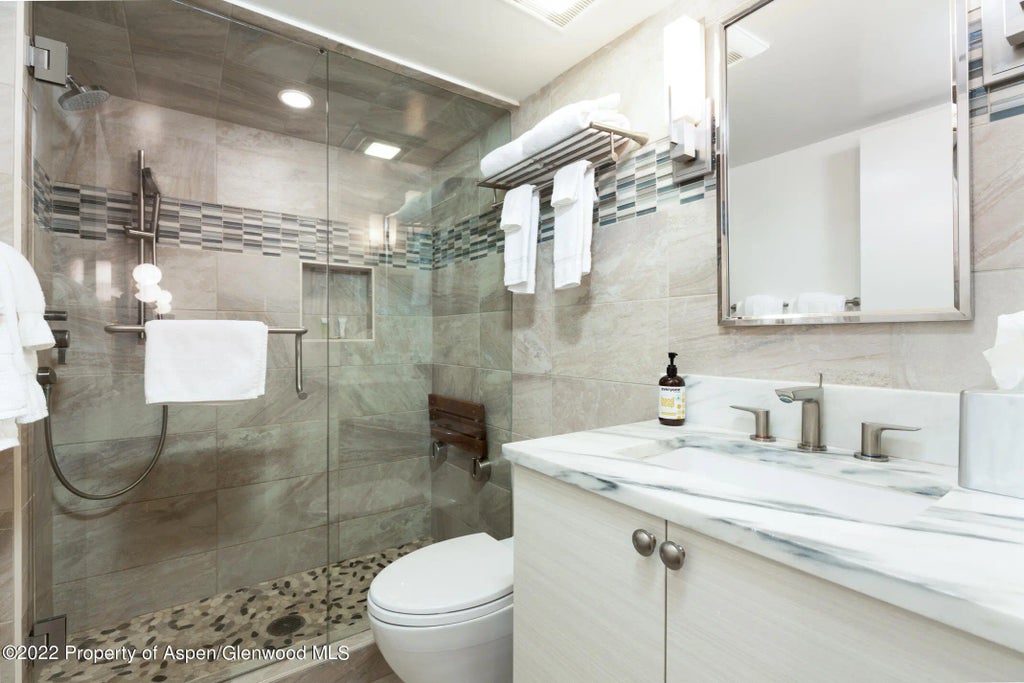 8 of 14 - 731 E Durant Avenue 6, Aspen, CO