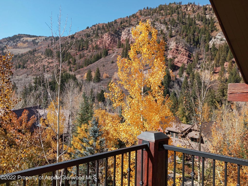 31 of 33 - 0039 Boomerang Road Unit 8415 Interest 2 & 8, Aspen, CO