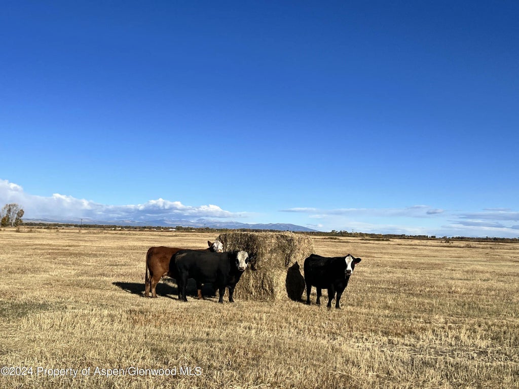 13 of 13 - 19033 Cr G, Antonito, CO