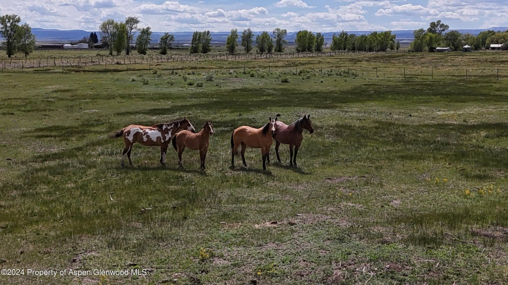 7 of 13 - 19033 Cr G, Antonito, CO