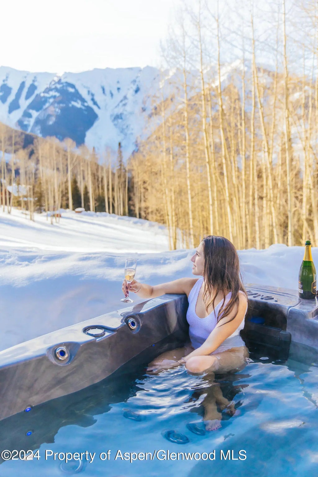 19 of 40 - 88 Lower Hurricane Road, Aspen, CO