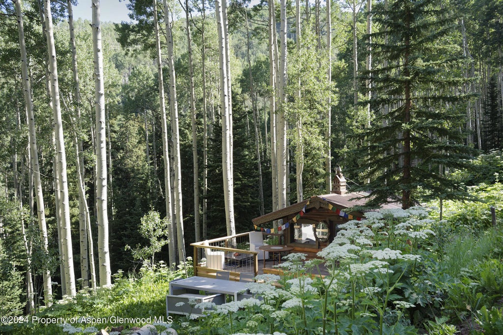 20 of 40 - 88 Lower Hurricane Road, Aspen, CO