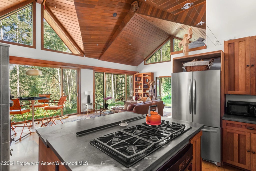 24 of 40 - 88 Lower Hurricane Road, Aspen, CO