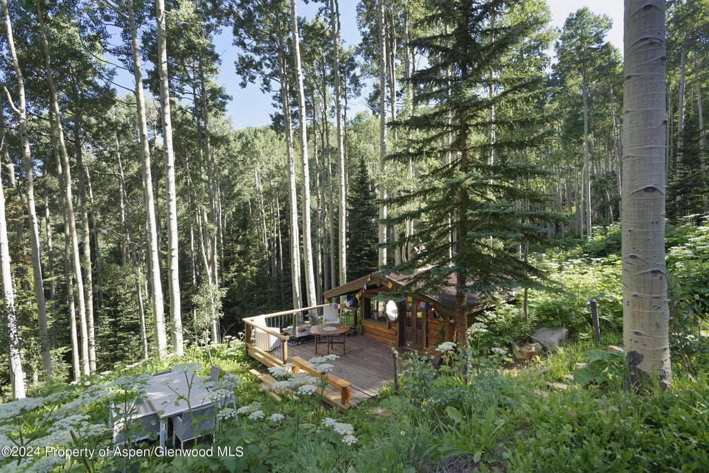 32 of 40 - 88 Lower Hurricane Road, Aspen, CO