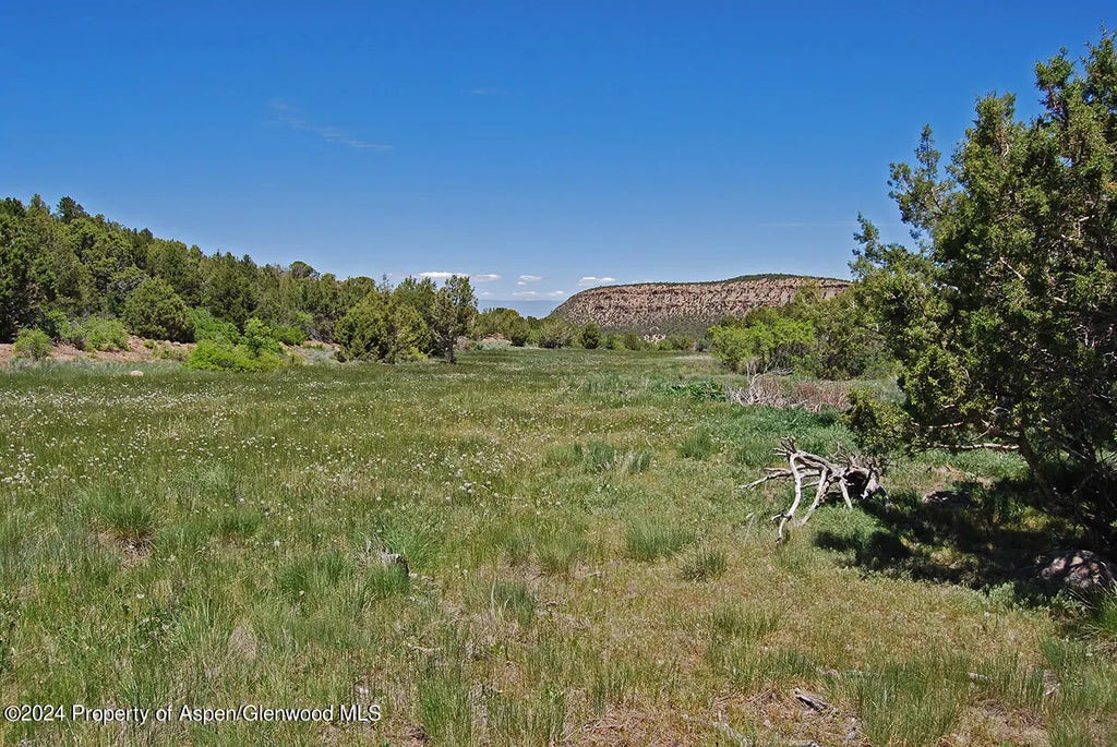 7 of 10 - Tbd Old Hwy 90, Montrose, CO