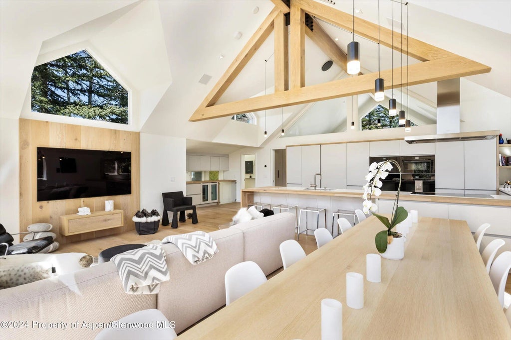 3 of 30 - 725 Castle Creek Drive, Aspen, CO
