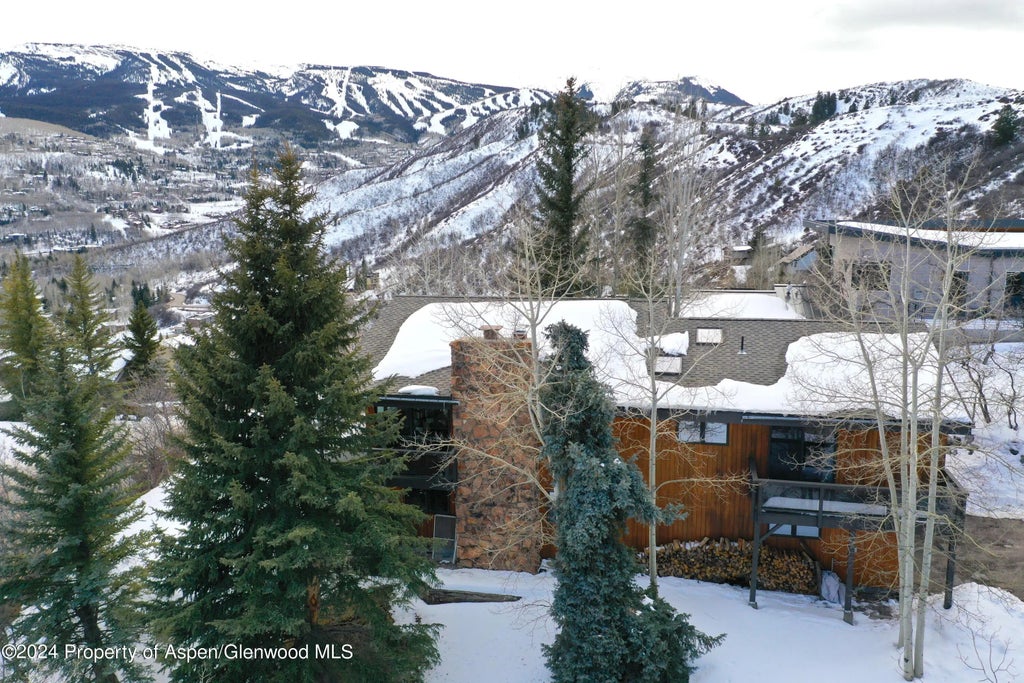 28 of 33 - 92 Wildridge Lane, Snowmass Village, CO