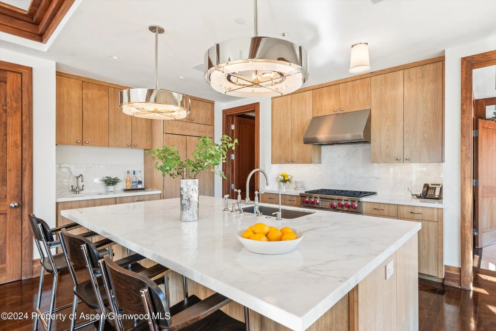 15 of 40 - 632 E Hopkins 301 Aka 119 S Spring Street, Aspen, CO