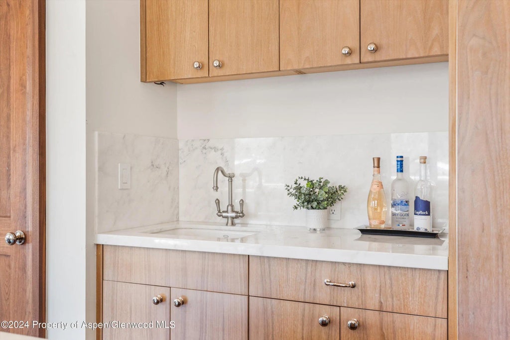 18 of 40 - 632 E Hopkins 301 Aka 119 S Spring Street, Aspen, CO