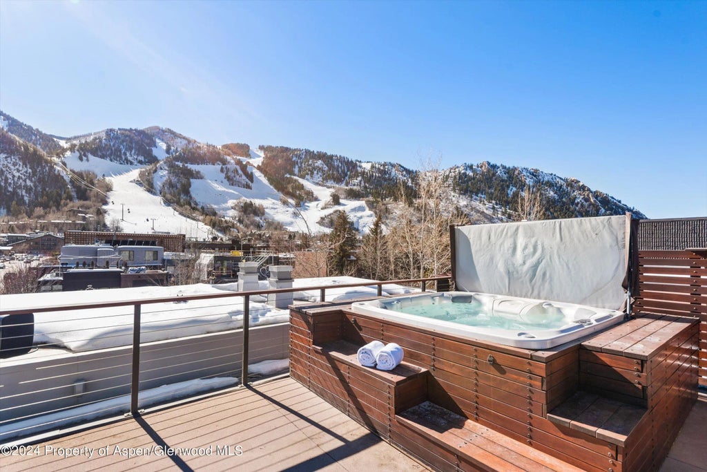 28 of 40 - 632 E Hopkins 301 Aka 119 S Spring Street, Aspen, CO
