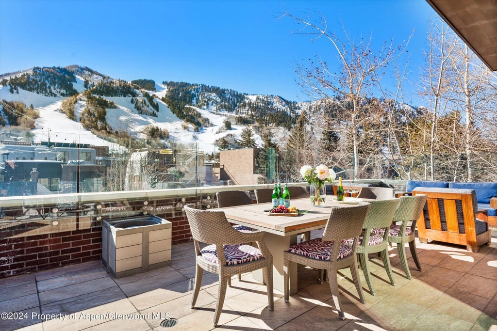 29 of 40 - 632 E Hopkins 301 Aka 119 S Spring Street, Aspen, CO