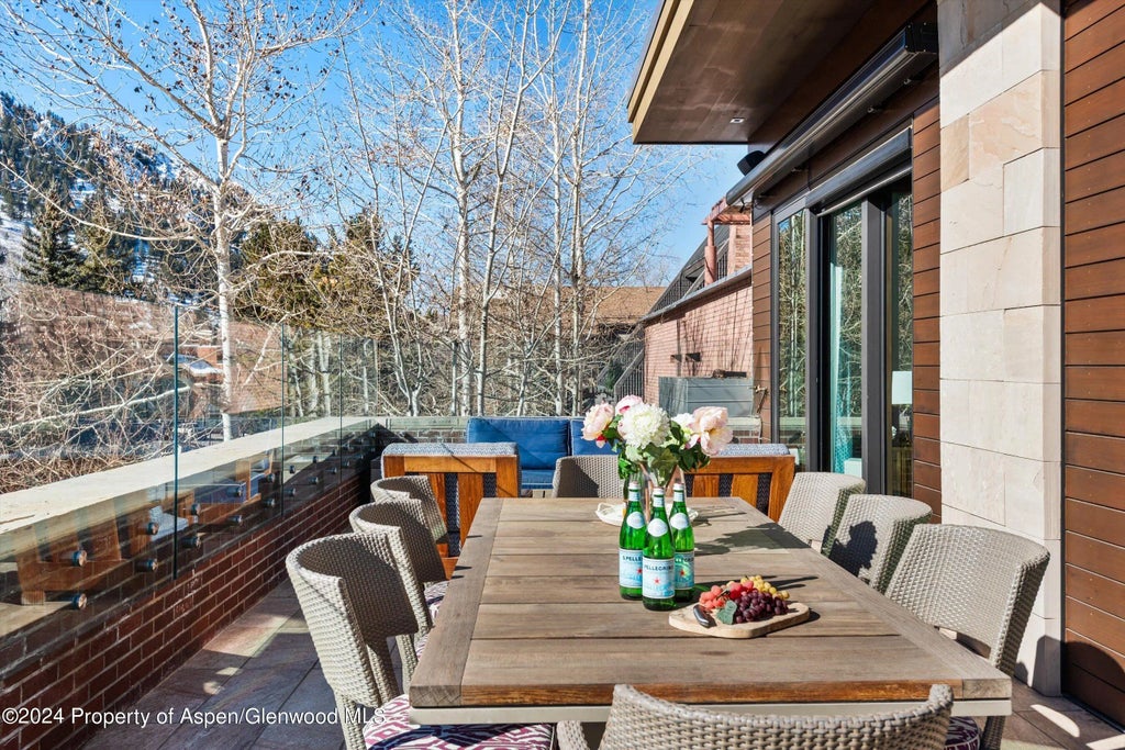30 of 40 - 632 E Hopkins 301 Aka 119 S Spring Street, Aspen, CO