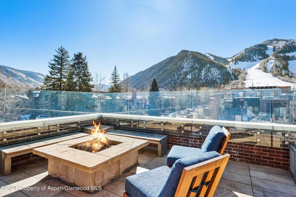 31 of 40 - 632 E Hopkins 301 Aka 119 S Spring Street, Aspen, CO
