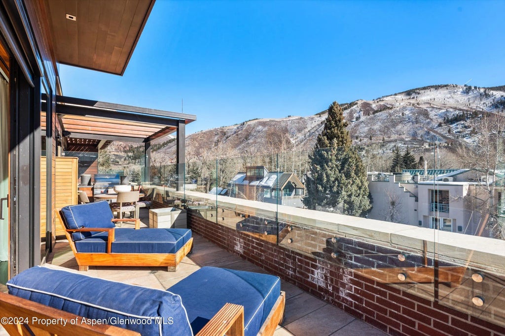35 of 40 - 632 E Hopkins 301 Aka 119 S Spring Street, Aspen, CO