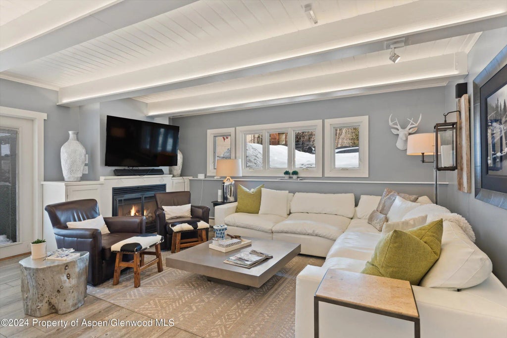 1 of 16 - 825 E Hopkins Avenue 1n, Aspen, CO