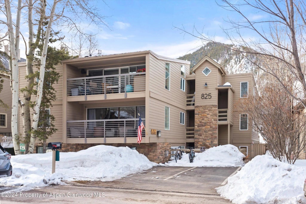 14 of 16 - 825 E Hopkins Avenue 1n, Aspen, CO