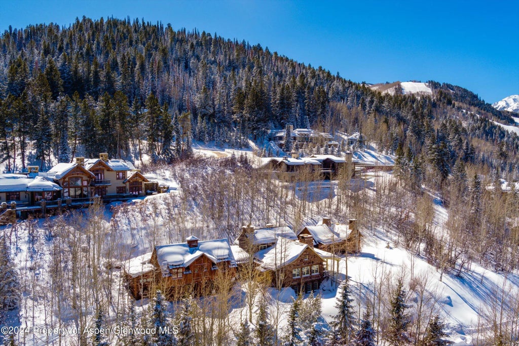 49 of 50 - 855 Moore Drive, Aspen, CO