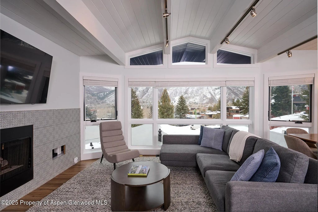 1 of 20 - 809 S Aspen Street #7, Aspen, CO