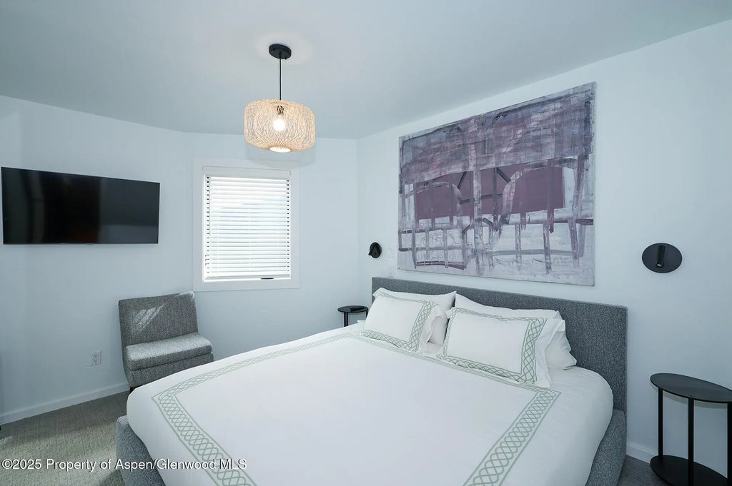 5 of 20 - 809 S Aspen Street #7, Aspen, CO