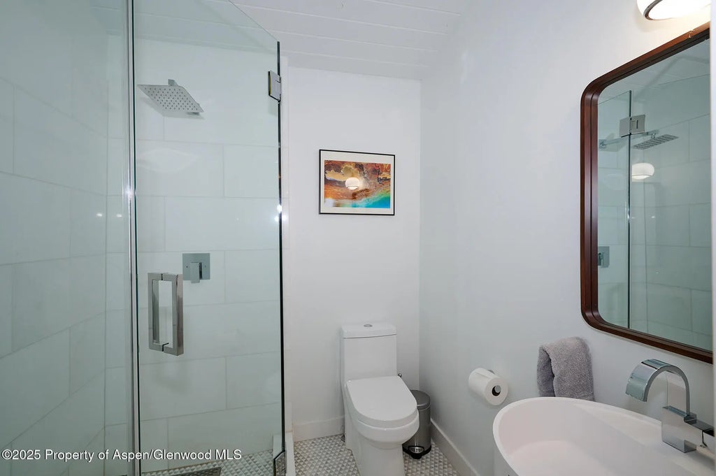 6 of 20 - 809 S Aspen Street #7, Aspen, CO