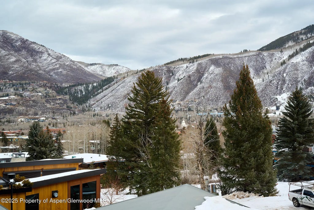 8 of 20 - 809 S Aspen Street #7, Aspen, CO