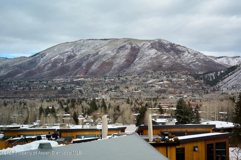 9 of 20 - 809 S Aspen Street #7, Aspen, CO