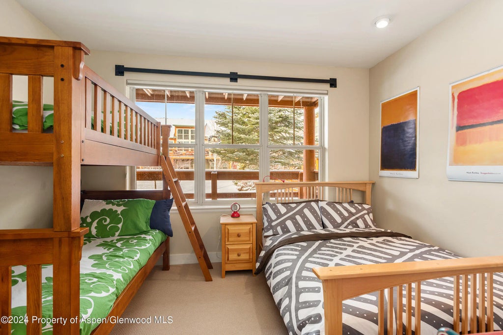 8 of 12 - 546 Evans Court, Basalt, CO