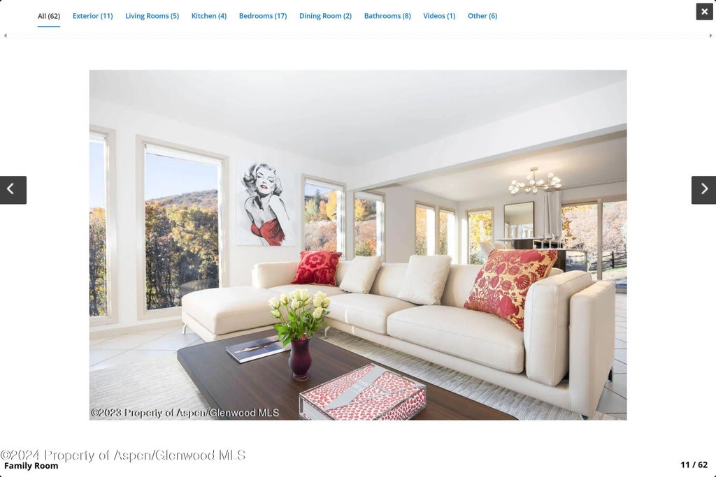 3 of 7 - 244 Medicine Bow Road, Aspen, CO