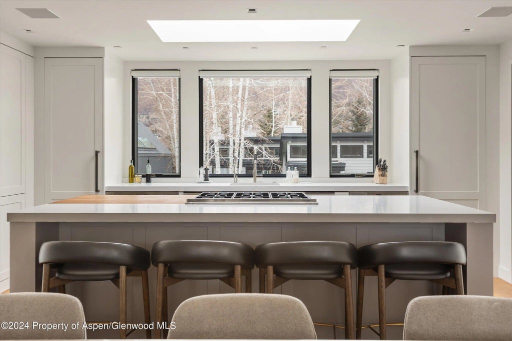 19 of 41 - 708 E Hopkins Avenue, Aspen, CO