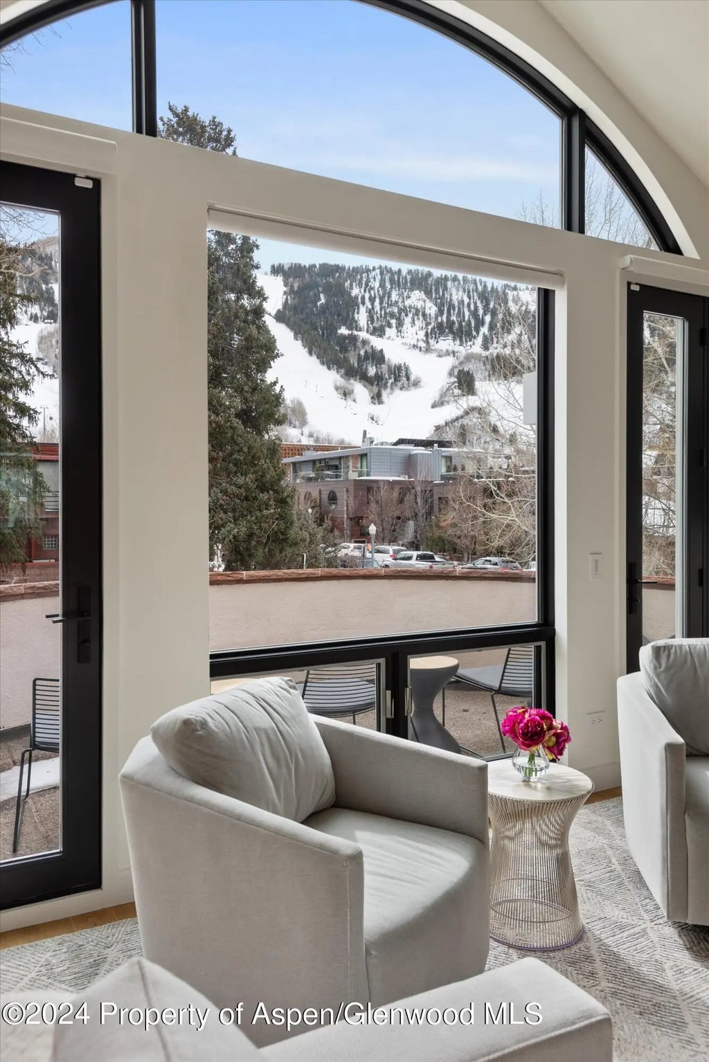 3 of 41 - 708 E Hopkins Avenue, Aspen, CO