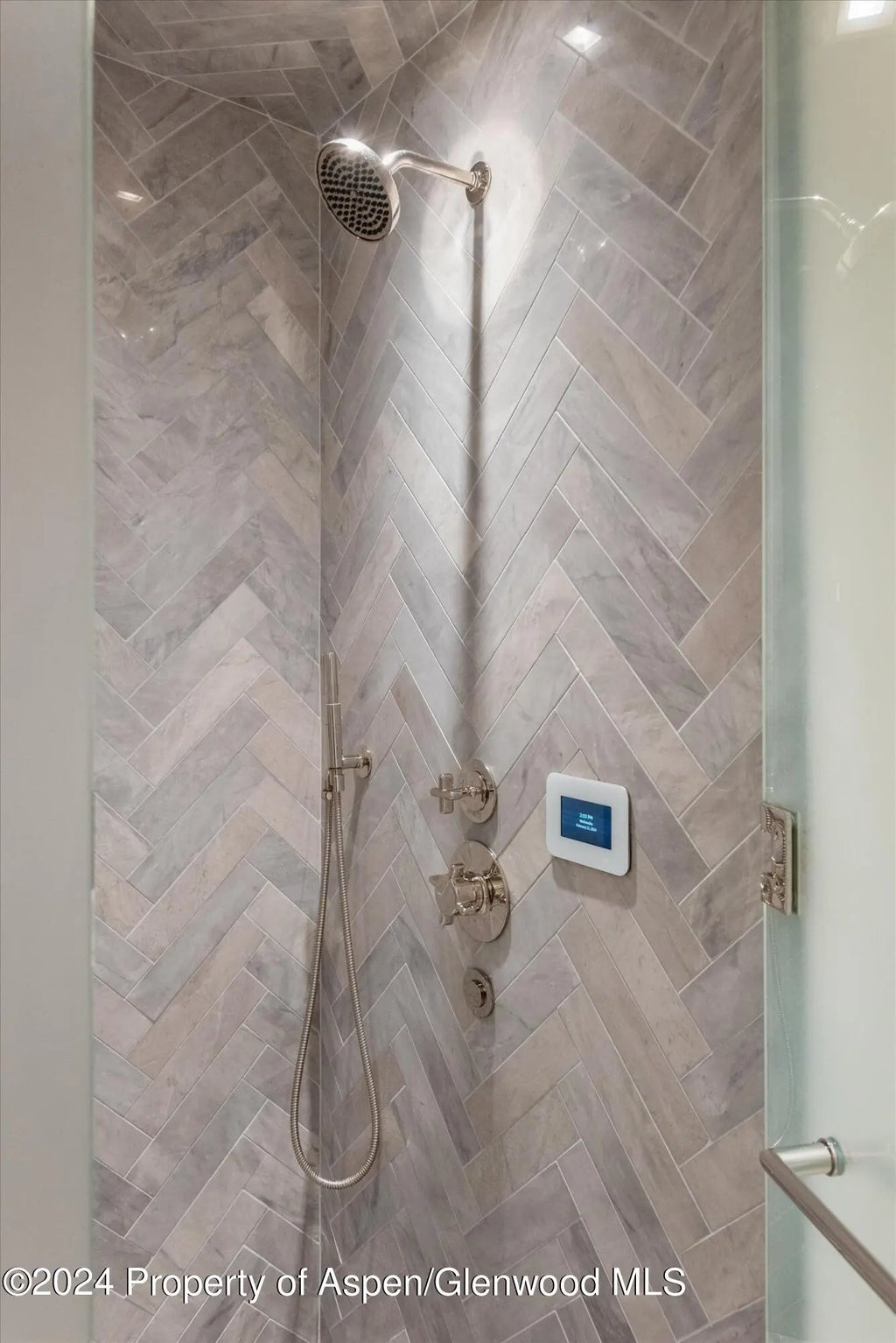 31 of 41 - 708 E Hopkins Avenue, Aspen, CO