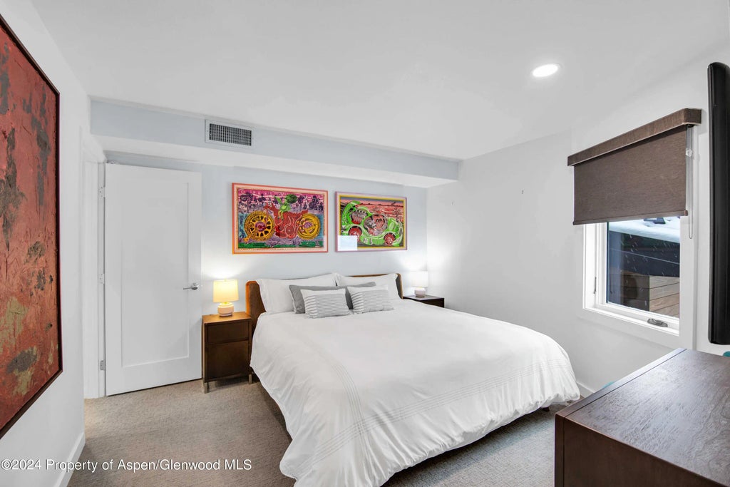 17 of 44 - 809 S Aspen Street 5&6, Aspen, CO