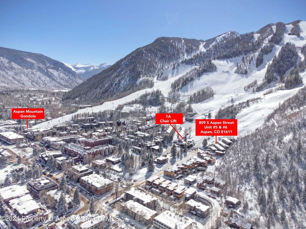 21 of 44 - 809 S Aspen Street 5&6, Aspen, CO