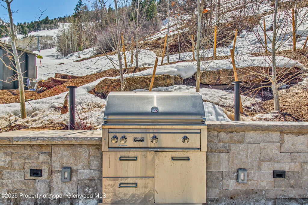 34 of 44 - 809 S Aspen Street 5&6, Aspen, CO