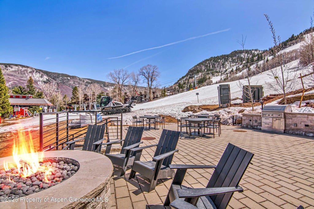 38 of 44 - 809 S Aspen Street 5&6, Aspen, CO