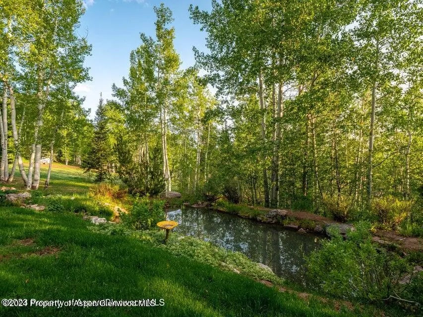 13 of 70 - 1457 Wood Road, Snowmass Village, CO