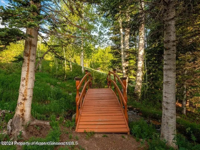 48 of 70 - 1457 Wood Road, Snowmass Village, CO