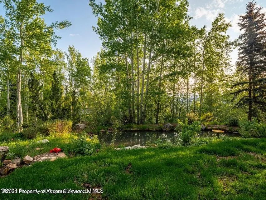 49 of 70 - 1457 Wood Road, Snowmass Village, CO