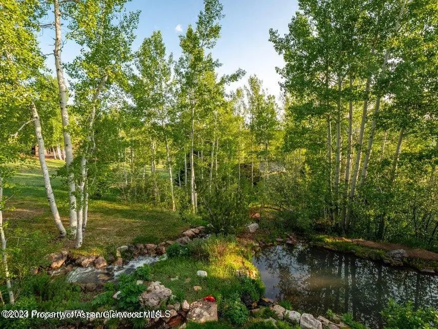 51 of 70 - 1457 Wood Road, Snowmass Village, CO