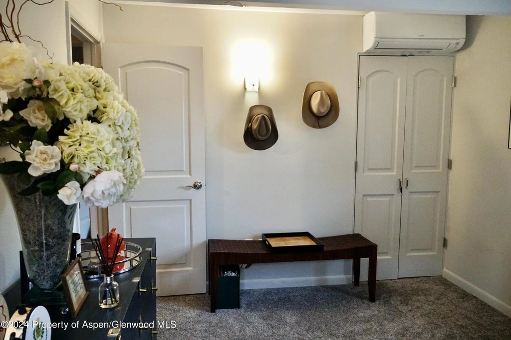 20 of 31 - 630 E Cooper Avenue 20, Aspen, CO