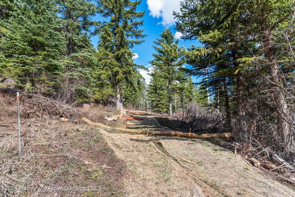 10 of 39 - Tbd Elk Mountain Dr Drive, Redstone, CO