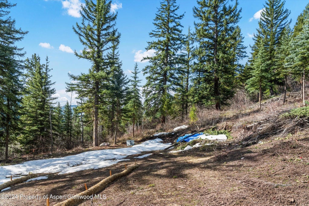 11 of 39 - Tbd Elk Mountain Dr Drive, Redstone, CO