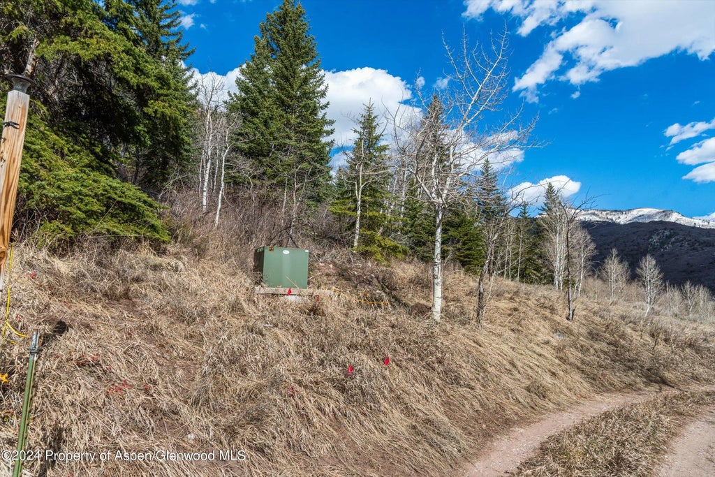 18 of 39 - Tbd Elk Mountain Dr Drive, Redstone, CO